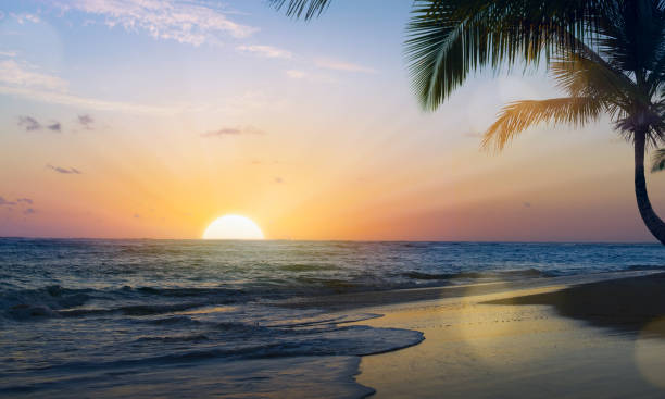 istock Art Beautiful sunset over the tropical beach 910163166