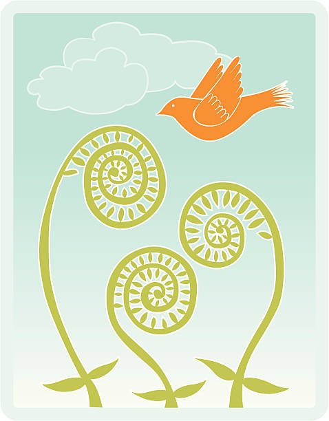 Fiddlehead ferns with bird and clouds  fiddle head stock illustrations