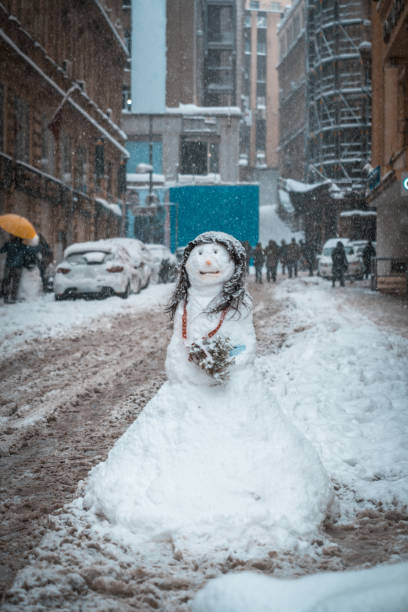 胖胖的雪人
