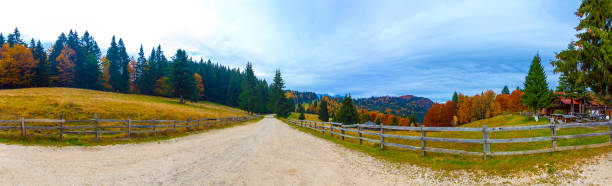 istock Idylic country road panoramic landscape through spruce forest 910181796
