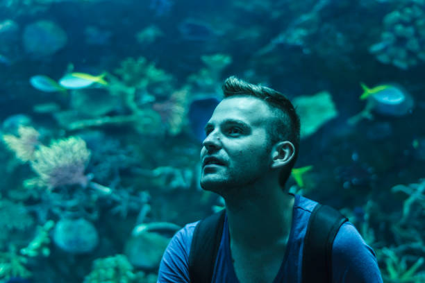 istock Taking pictures in aquarium 910189228