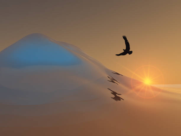 Aquila che vola sopra la collina di ghiaccio - foto stock