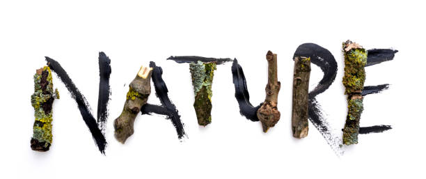 Single word Nature in snapped branches and black paint painted by contributor