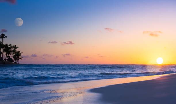 istock Art Beautiful sunset over the tropical beach 910200492