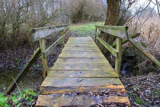 istock wooden bridge on park 910203668
