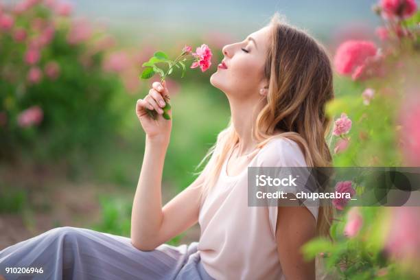 Beautiful Young Girl Is Wearing Casual Clothes Having Rest In A Garden With Pink Blossom Roses Stock Photo - Download Image Now