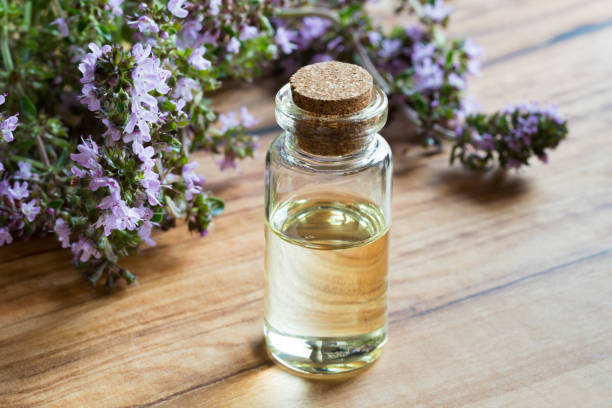 istock A bottle of thymus serpyllum (creeping thyme) essential oil with blooming thymus serpyllum twigs 910214006
