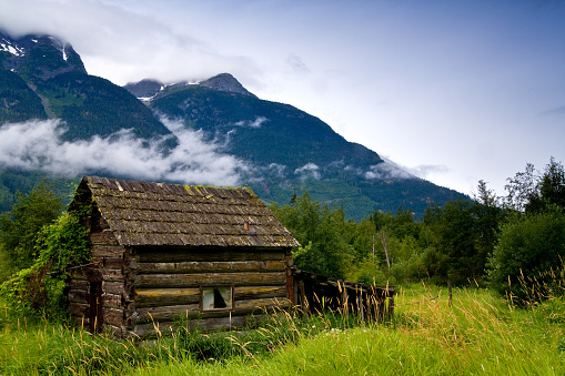 Old, abandoned cabin in an overgrown meadow, Bella Coola, BC, Canada