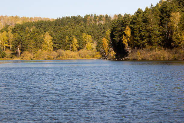 istock Lake in autumn forest 910214740