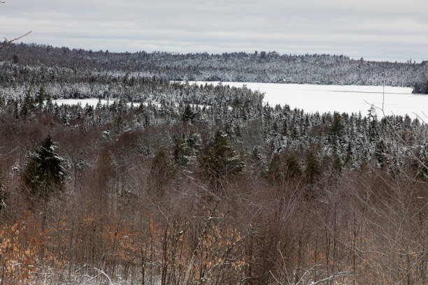 istock Maine North woods 910215380