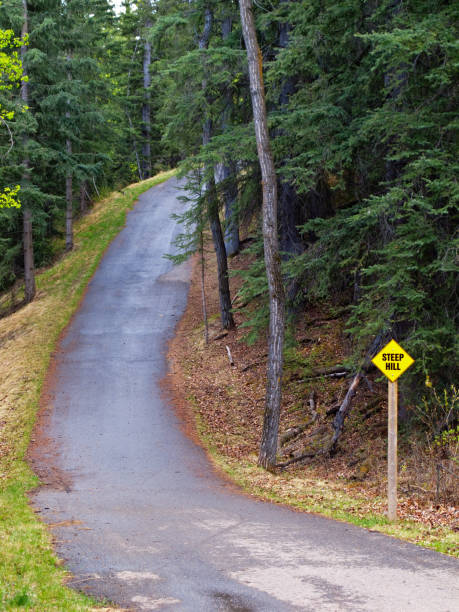 istock A paved trail in the forest 910215410