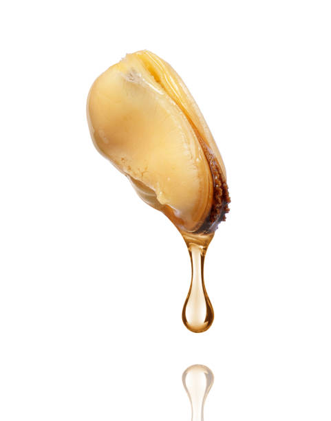 istock Mussel in oil close-up on white background 910217578