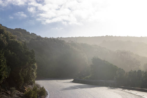 istock Winding tarmac road 910217798
