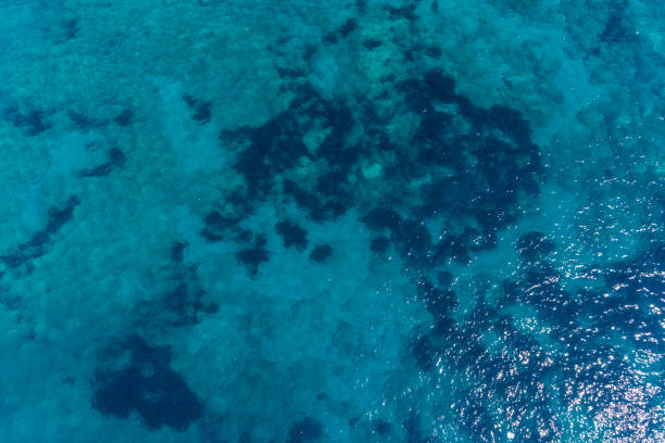 istock Aerial view on turquoise waves, water surface texture 910218854