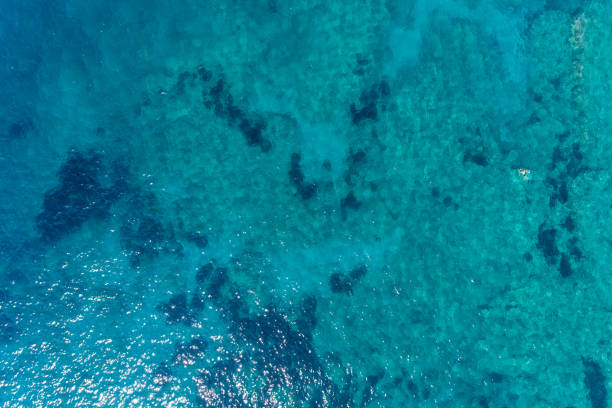 istock Aerial view on turquoise waves, water surface texture 910218998