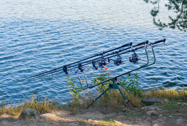 Tripod for fishing rod fishing Tripod for fishing Carp rod fishing hobby burton sussex stock pictures, royalty-free photos & images