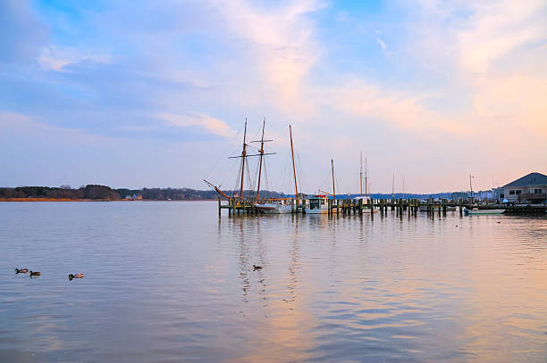 Chestertown Dock With Sailboats at Dusk  chestertown stock pictures, royalty-free photos & images