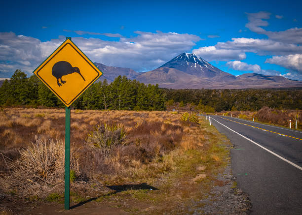 Kiwi sign in NZ landscape Kiwi warning sign with tongariro volcano in background, New Zealand tongariro national park photos stock pictures, royalty-free photos & images
