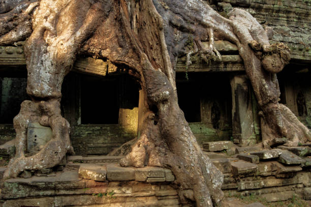 Mysterious Preah Khan temple in Angkor, Siem Reap, Cambodia. stock photo