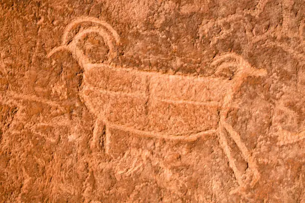 Pre-Columbian big horn sheep petrogyphs carved on the cliffs above the Escalante River in Grand Staircase Escalante National Monument, Utah.