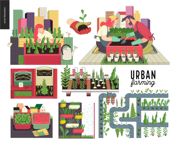 Urban farming and gardening set Urban farming, gardening or agriculture set. Planting, harvest, wooden seedbeds, planting on rails, vertical farming and hydroponics community vegetable garden stock illustrations