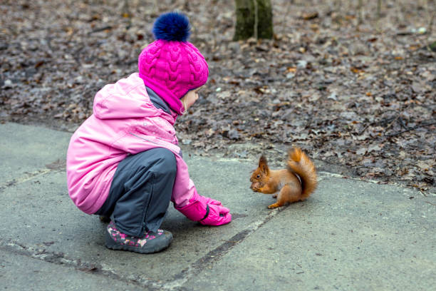 istock Little girl feeding squirrel with nuts in forest. 910238674