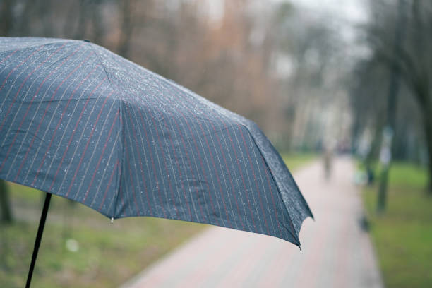 Person walking under dark striped wet umbrella in a city park during rain at autumn or spring. Weather forecast conept. Bad mood.
