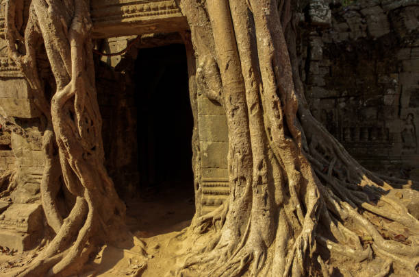 Ta Som Angkor Wat temple, Siem Reap, Cambodia stock photo