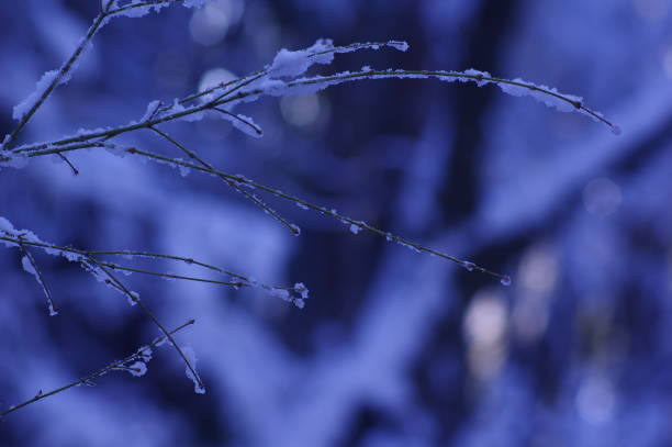 istock snow near my home6 910244498