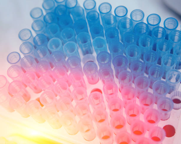 istock Medical equipment. Biochemistry test. Technology 910251734