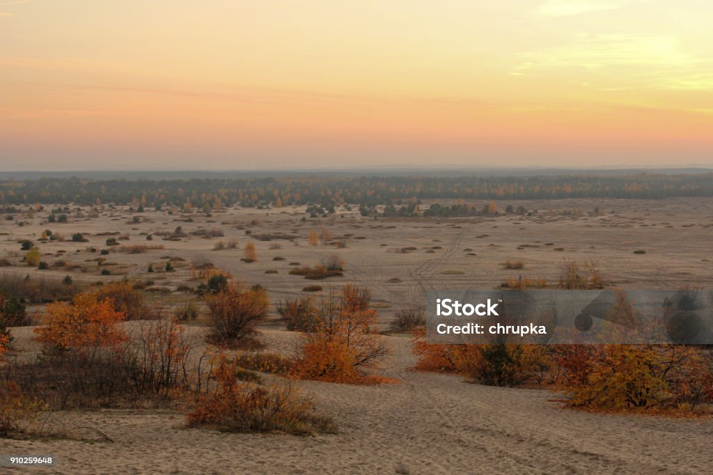 Phong Cảnh Sa Mạc Bledow Ở Ba Lan Hình ảnh Sẵn có - Tải xuống Hình ảnh Ngay  bây giờ - Khu vực sa mạc, Ba Lan, Ban ngày - iStock