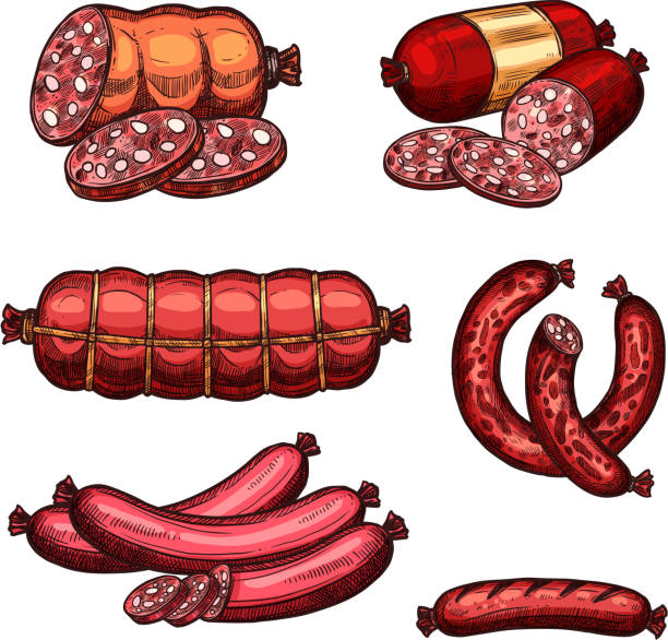 Vector fresh meat sausages products sketch icons Sausages and meat delicatessen sketch icons of sketch set of sausage sorts salami, pepperoni and bunch of pork chorizo. Vector chipolata kielbasa and frankfurter bacon bratwurst for gastronomy shop vienna sausage stock illustrations