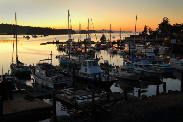 istock Ganges Harbor, Salt Spring Island Twilight Dawn 910262732