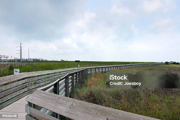 Padre Island Salt Marsh Boardwalk Stock Photo - Download Image Now - Padre Island National Seashore, Bird Watching, Scenics - Nature