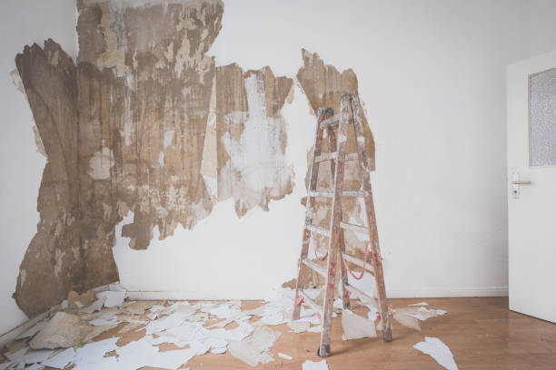 ladder in empty room during renovation - repairing apartment home improvement painting imagens e fotografias de stock