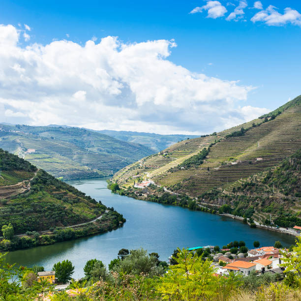 views of the portuguese nature - douro imagens e fotografias de stock