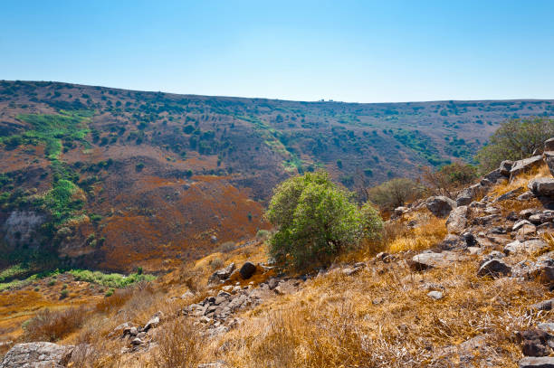 istock Nature reserve located in the Golan Heights 910274918
