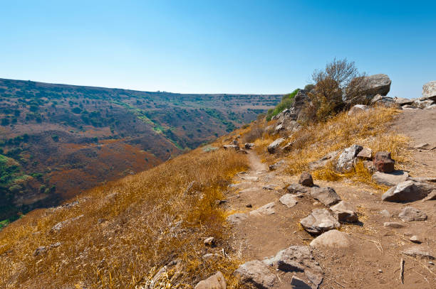 istock Nature reserve located in the Golan Heights 910274930