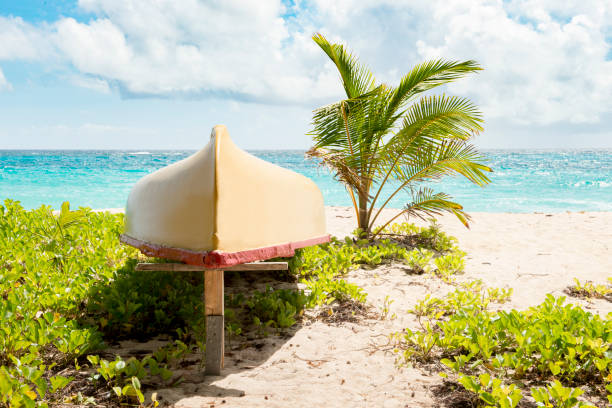 Wooden canoe by a palm tree on the beach