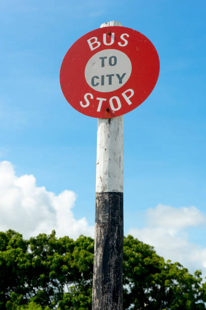 istock Bus Stop Sign with Blue Sky and Trees in Background 910275884