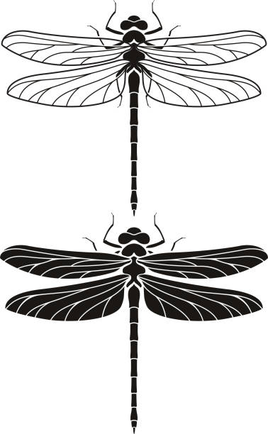 Dragonfly silhouette icons set. Dragonfly silhouette icons set. dragonfly tattoo stock illustrations