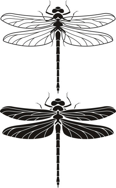 Dragonfly silhouette icons set. Dragonfly silhouette icons set. dragonfly tattoo stock illustrations