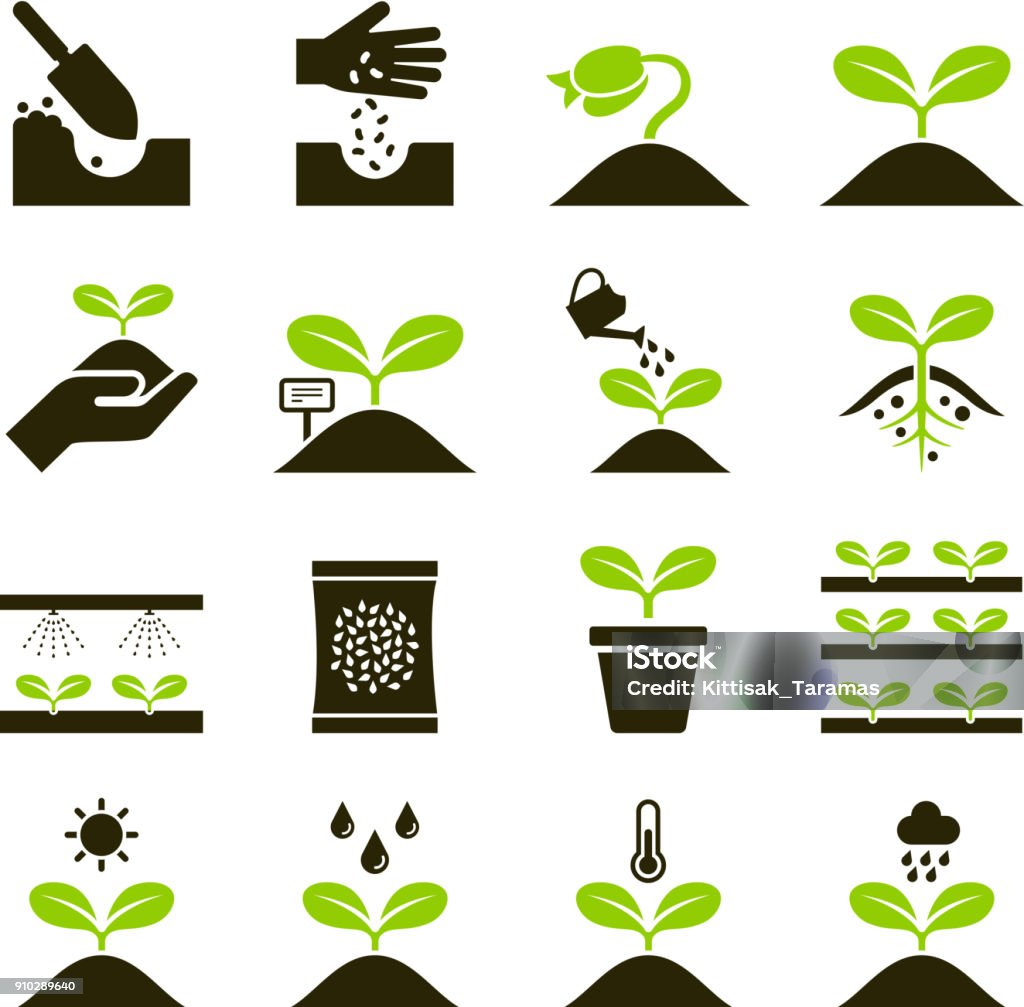 Pflanze-Symbole. - Lizenzfrei Icon Vektorgrafik