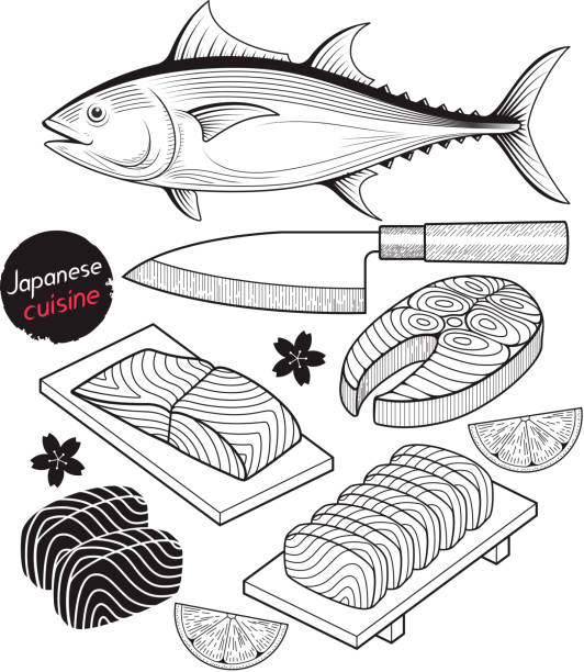 ilustraciones, imágenes clip art, dibujos animados e iconos de stock de carne de pescado de salmón. japón comida doodle elementos estilo dibujado a mano. - sashimi