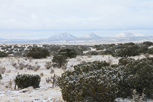 Snowy Northern New Mexico Landscape with Juniper Trees