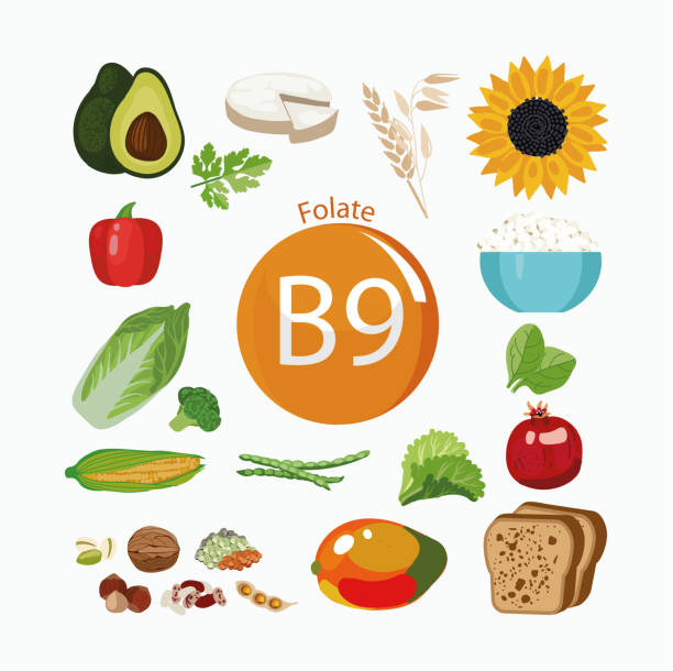 Folasi 750+ Folic Acid Stock Illustrations, Royalty-Free Vector Graphics ...