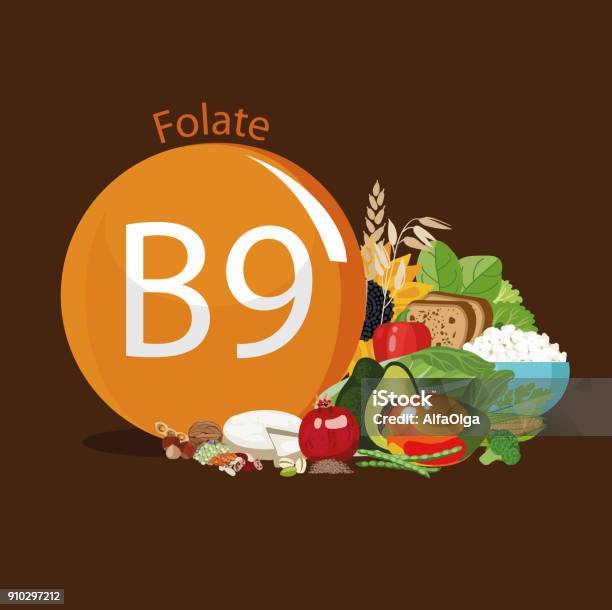 Vitamin B9 Stock Illustration - Download Image Now - Folic Acid, Avocado, Bean
