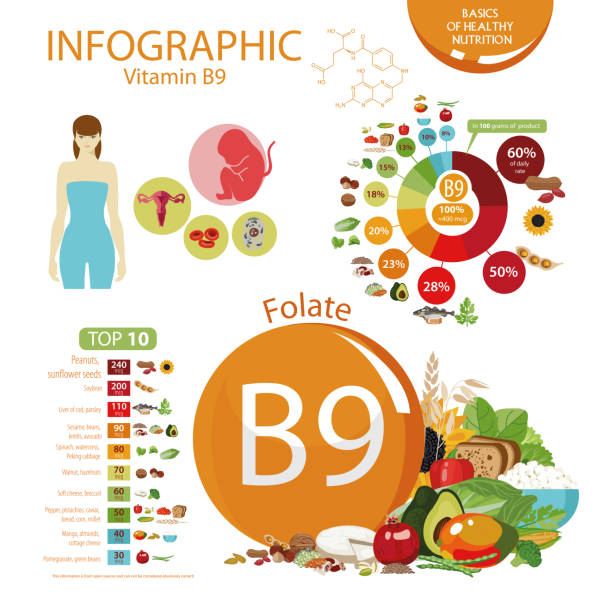 Vitamin B9 Vitamin B9 (folate). Food sources. Natural organic products with the maximum vitamin content. folic acid stock illustrations