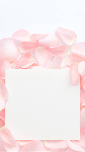 istock paper with pink rose petals. Flat lay, top view 910300794