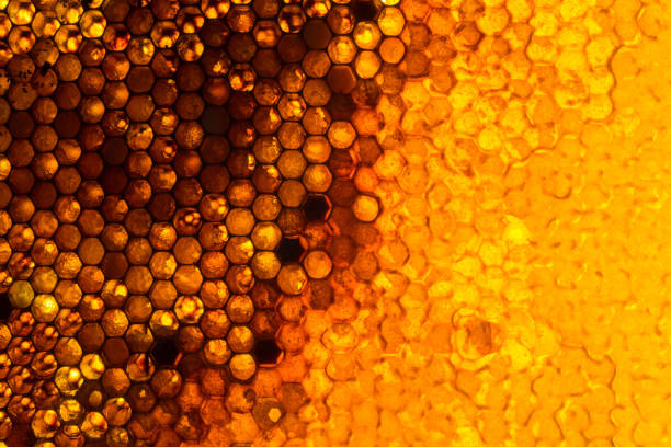 オーガニック蜂蜜 - honeyed ストックフォトと画像
